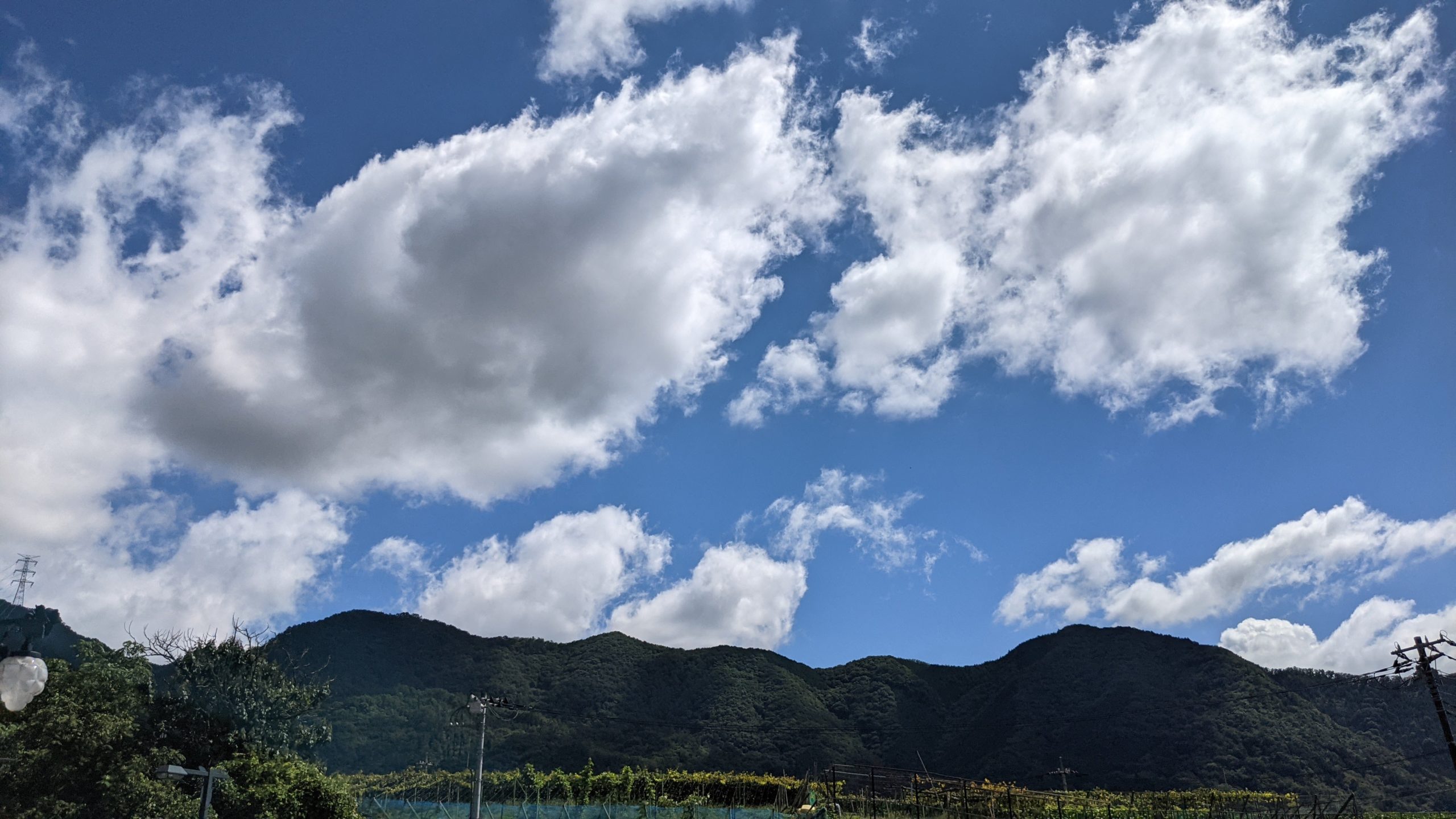 峠の走り屋は名瀑と出会った