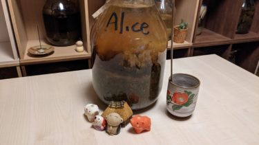 ぬめりの酒のアリス