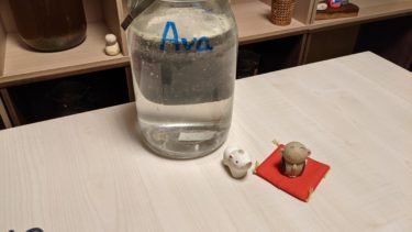 健診前夜は食うべからず