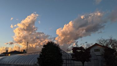 禁断のパーマリンク変更