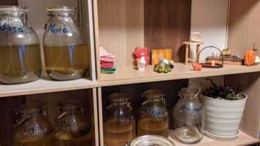 マーガレット放置