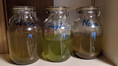 ボトル ナンバー