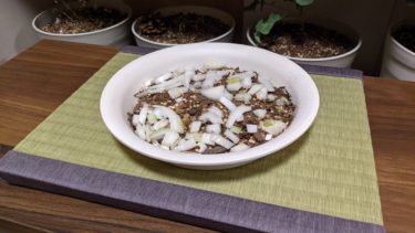 タマネギの価格が高騰してるらしい