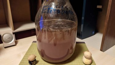 練馬で太陽を見た。