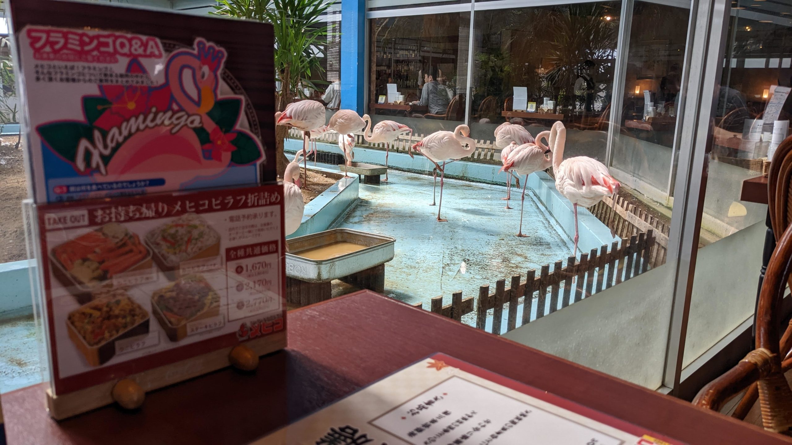 フラメンゴレストラン メヒコ