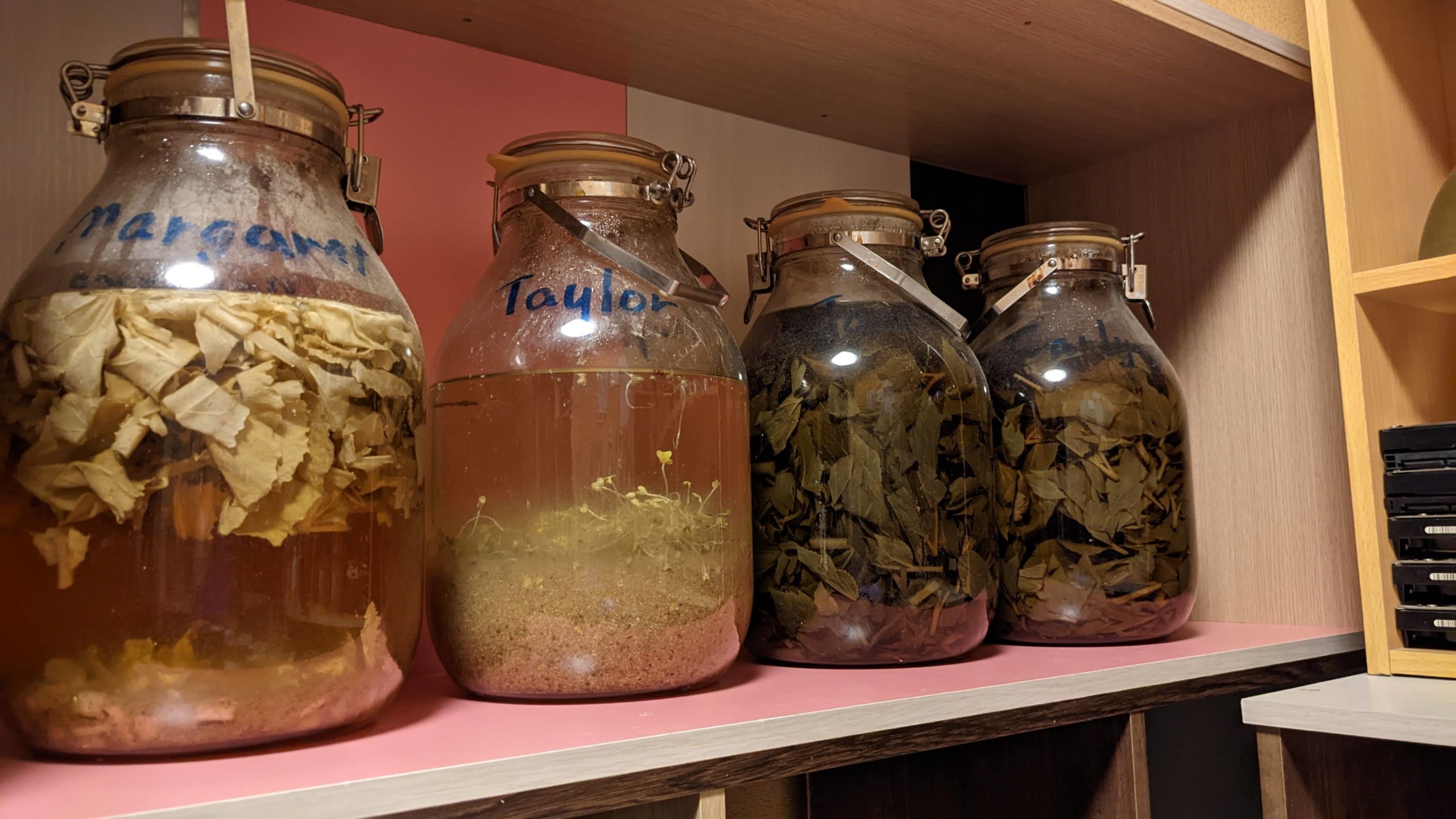 飲んでる酒が違うのだよ