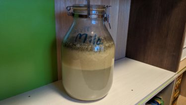 ショウガのミラ