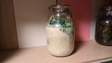 酒粕とわさび菜