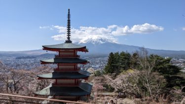 新倉山浅間公園の桜