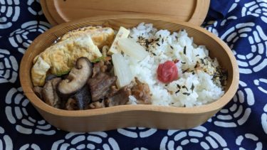 タンパク弁当
