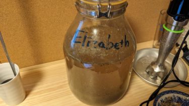 可愛いイタドリ