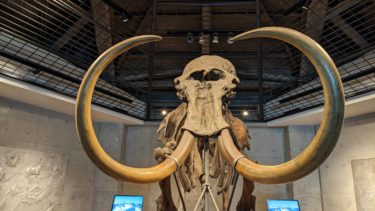 旧石器時代と山男