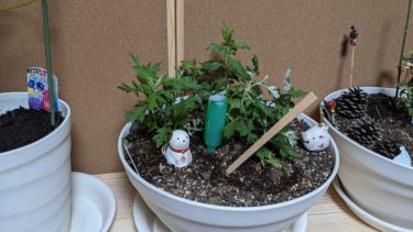 私の小さな酒造処