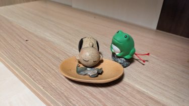 花月どんが干からびた