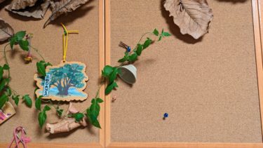 ただただ伸び続けるだけの雑草