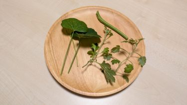 体調が良ければ なんでも楽しい