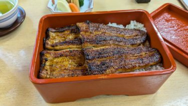 駿河屋の特選うな重