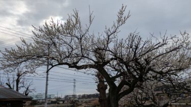 ヲタる爆発する